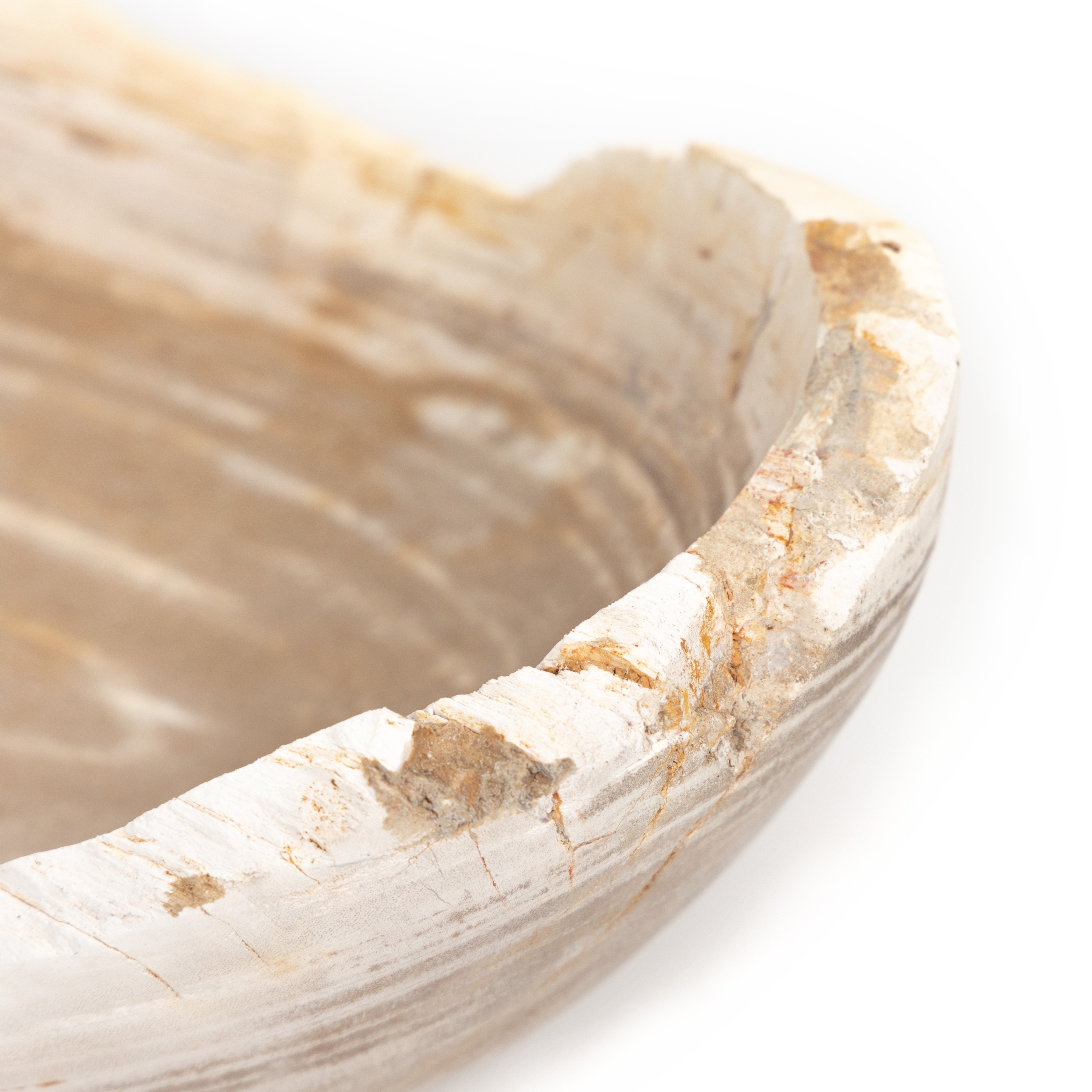 Oval Petrified Wood Bowl-Petrified Wood - Image 11
