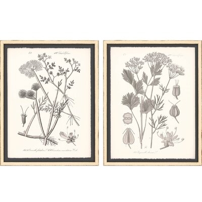'Gray Botanicals I' - 2 Piece Picture Frame Graphic Art Set on Paper - Image 0