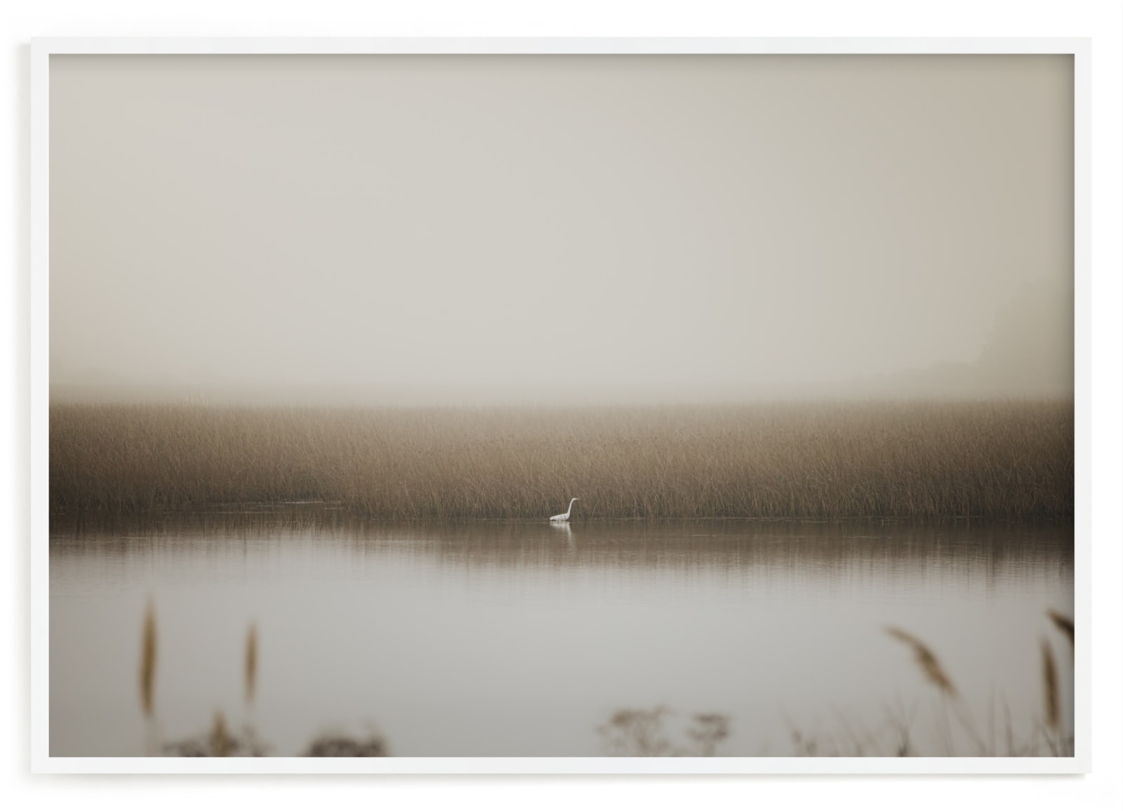 Fragile Equilibrium Limited Edition Fine Art Print 2 - Image 0