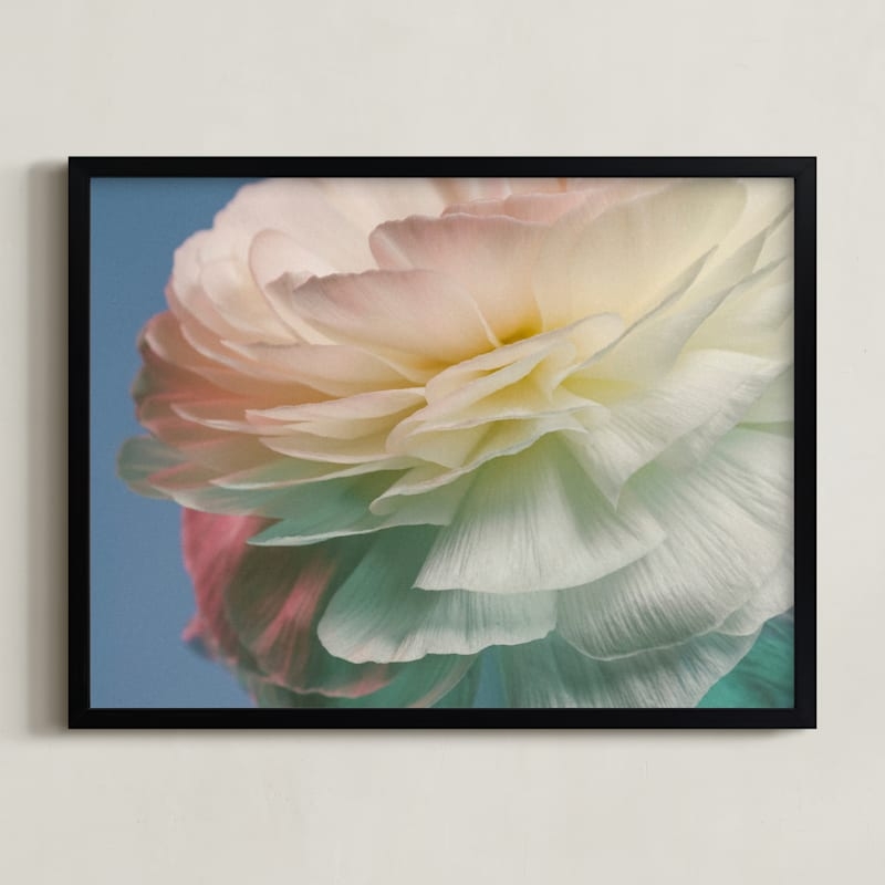 Delicate Ranunculus Flower Limited Edition Fine Art Print 2 - Image 0