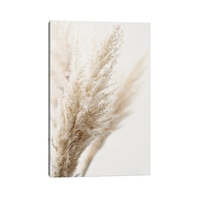 Pampas Reed III by Monika Strigel - Wrapped Canvas Photograph Print - Image 0