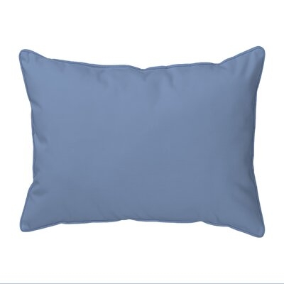 Jaciyah Google Eye Outdoor Rectangular Pillow Cover & Insert - Image 0
