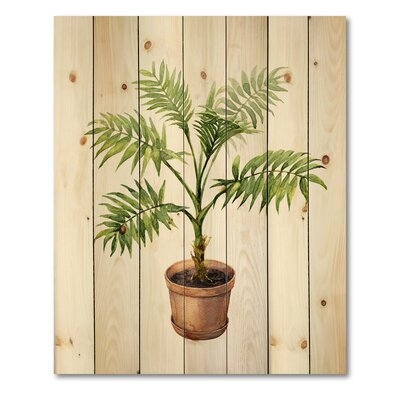 Palm In Clay Flowerpot - Traditional Print On Natural Pine Wood - Image 0