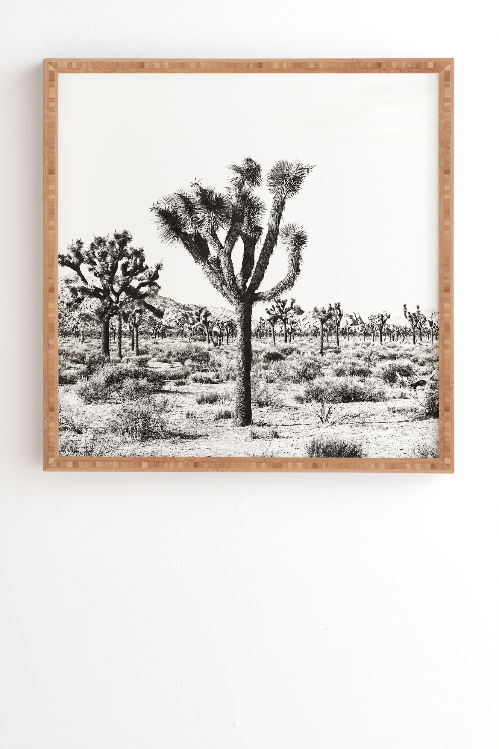 Joshua Trees by Bree Madden - Framed Wall Art Bamboo 19" x 22.4" - Image 1