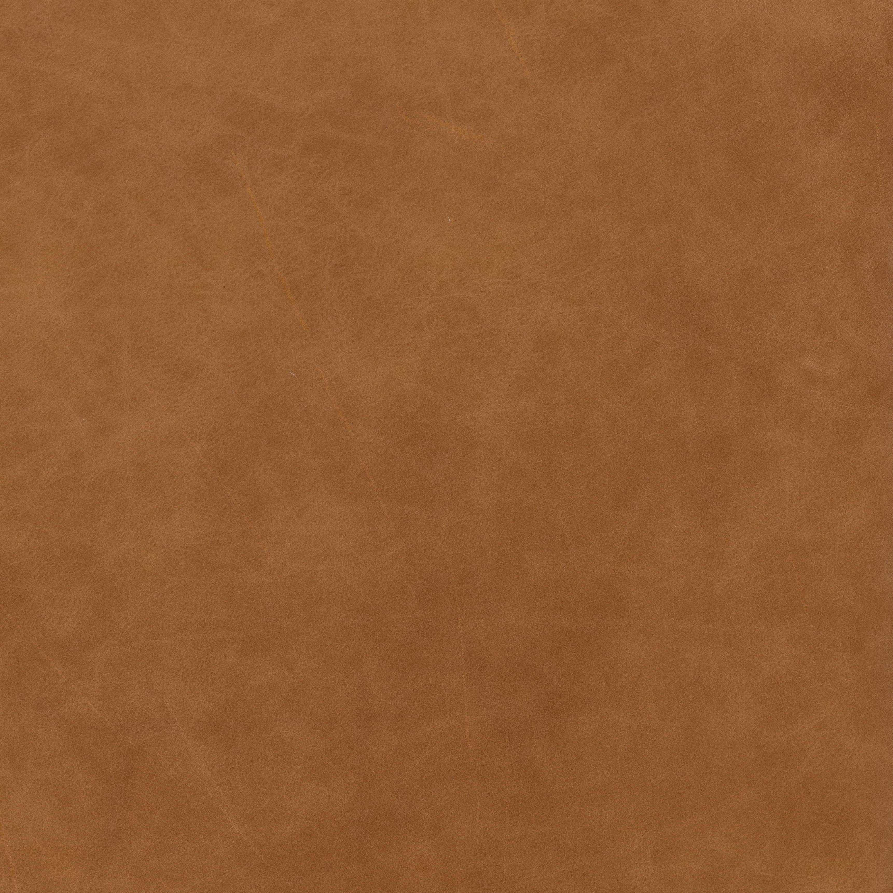 Olson Swivel Chair - Sonoma Butterscotch - Image 6