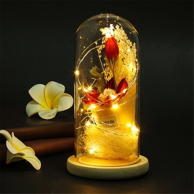 , Multi , 826Hx445Wx445D Romantic Immortal Flower Micro Landscape Rose Simulaton Glass Rope Lights - Image 0