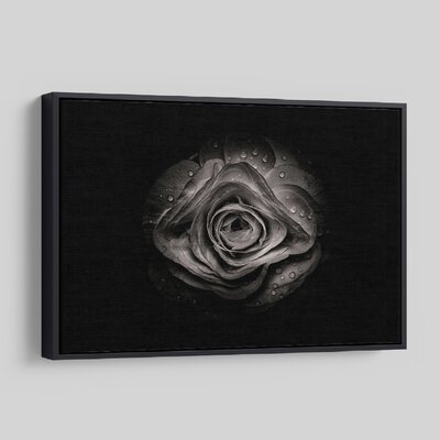 'Backyard Flowers In Black And White 74' - Photographic Print On Wrapped Canvas - Image 0
