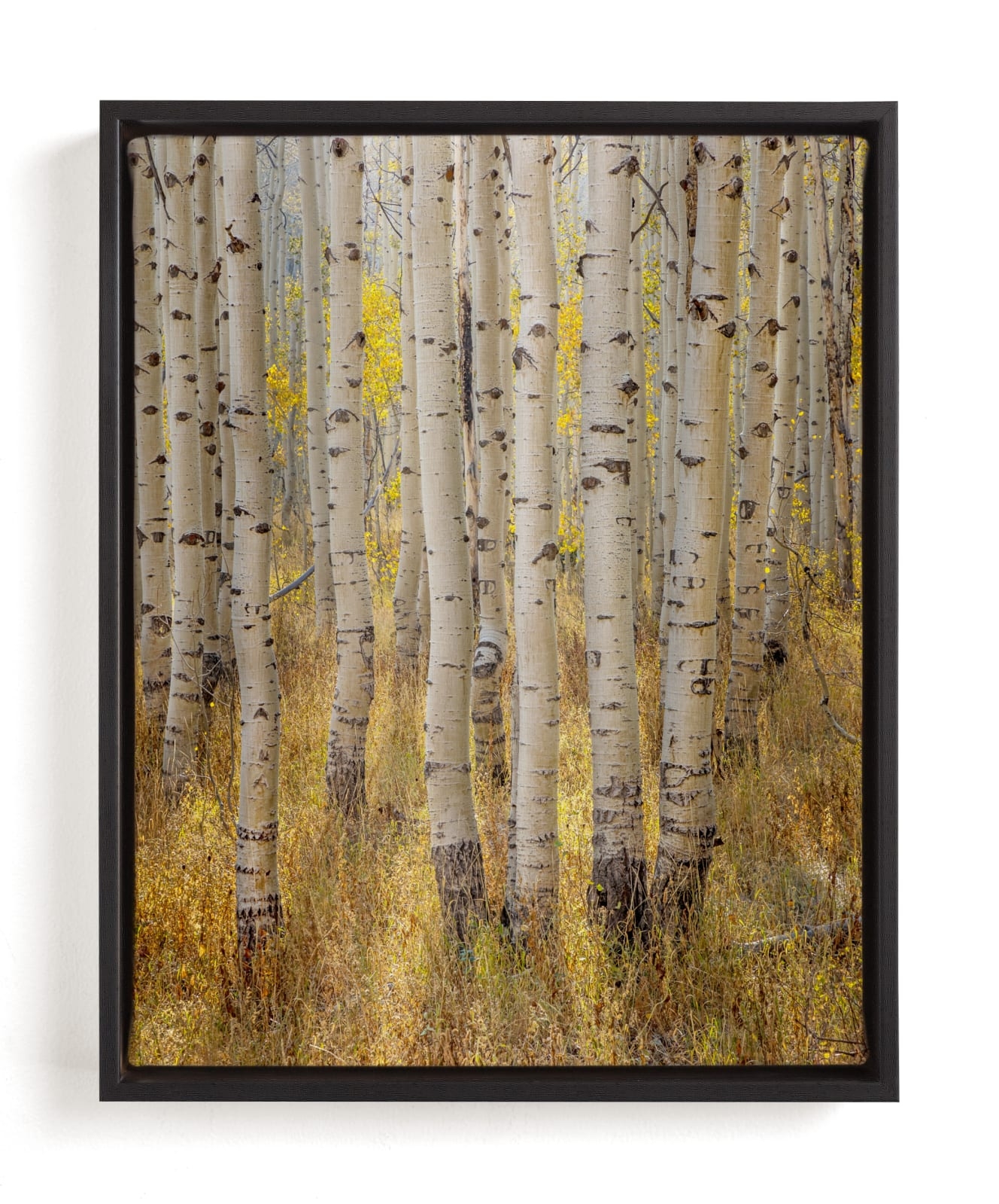 Filtered Light Limited Edition Fine Art Print 2 - Image 0