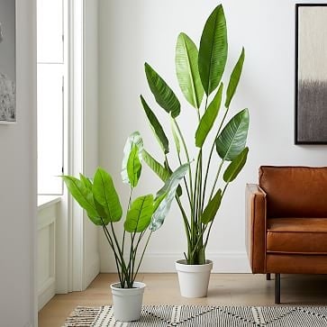 Faux Potted Bird of Paradise Plant - Image 1