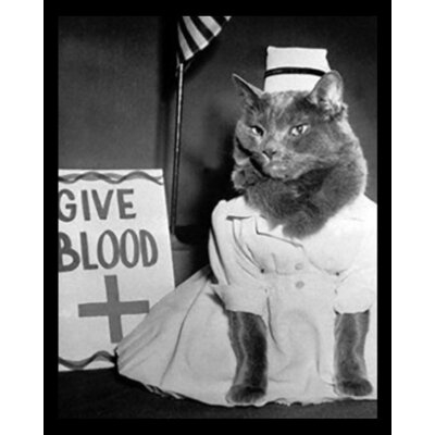 Nurse Kitty Four Paws - Picture Frame Photograph Print on Paper - Image 0