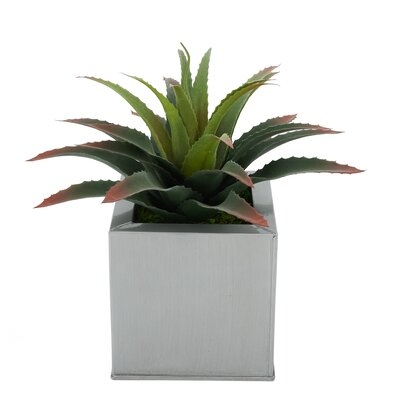 7'' Artificial Succulent Plant in Pot - Image 0