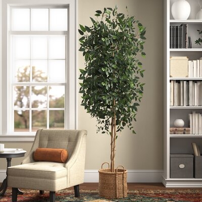 Artificial Ficus Tree in Planter, 60" - Image 1