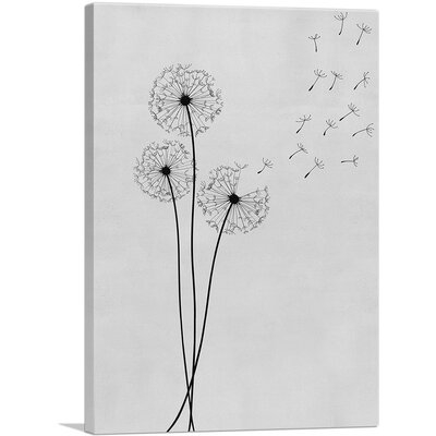 Dandelion Gray Black - Wrapped Canvas Drawing Print - Image 0