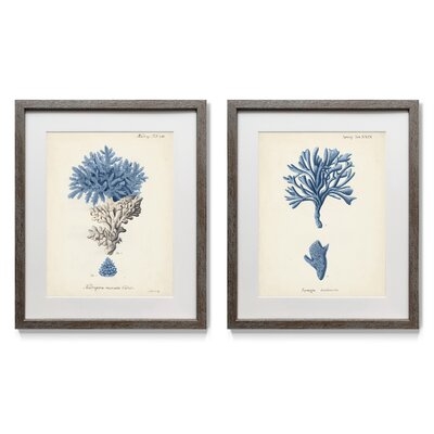 Antique Coral in Navy III - 2 Piece Picture Frame Painting Print Set on Paper - Image 0