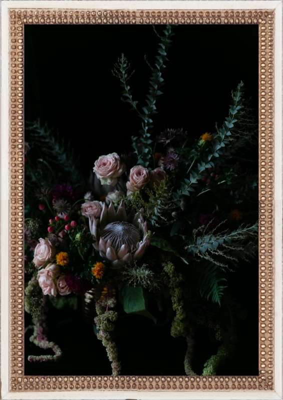 Protea Still Life  by Emilia Jane Schobeiri for Artfully Walls - Image 0