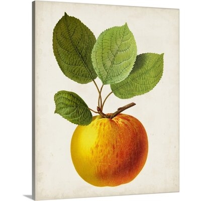 Antique Fruit I Canvas Wall Art - Image 0
