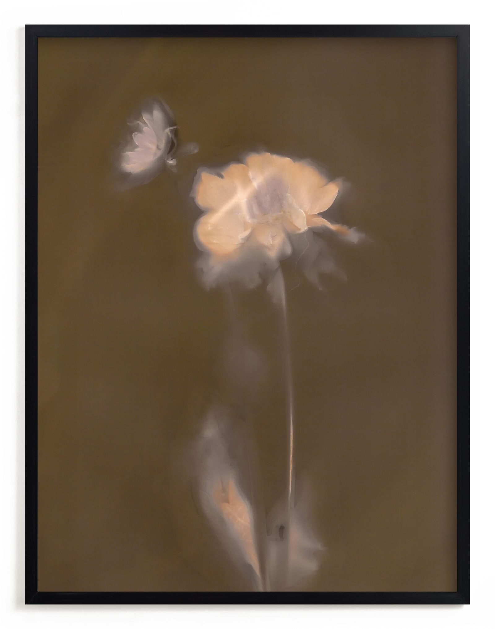 Single Dahlia Flower Limited Edition Fine Art Print 2 - Image 0