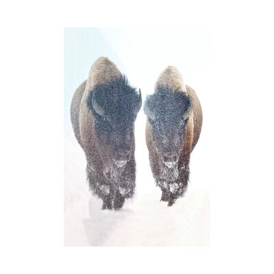 Bison In A Snow Storm - Image 0