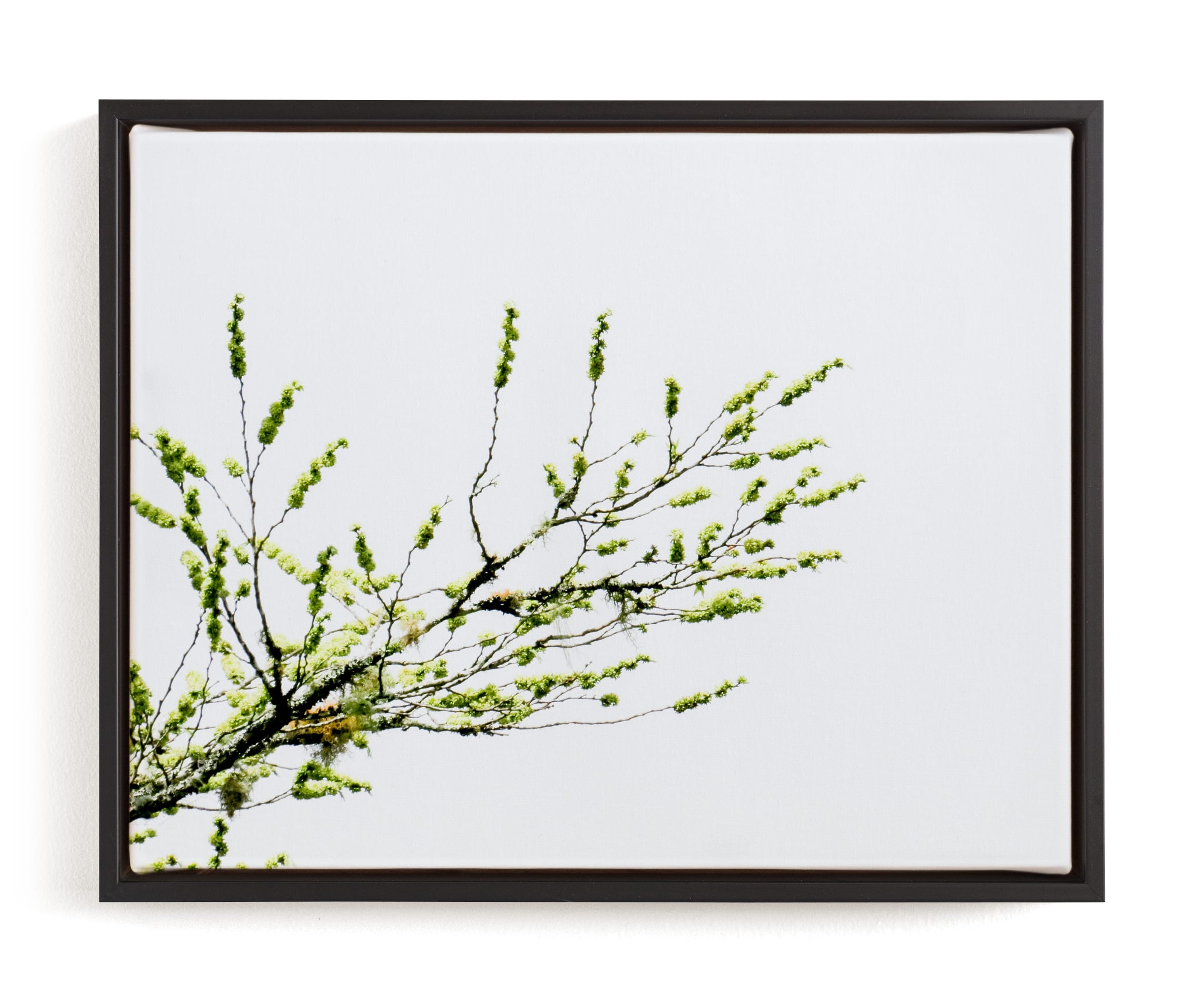 Sun Seeking Limited Edition Fine Art Print 1 - Image 0