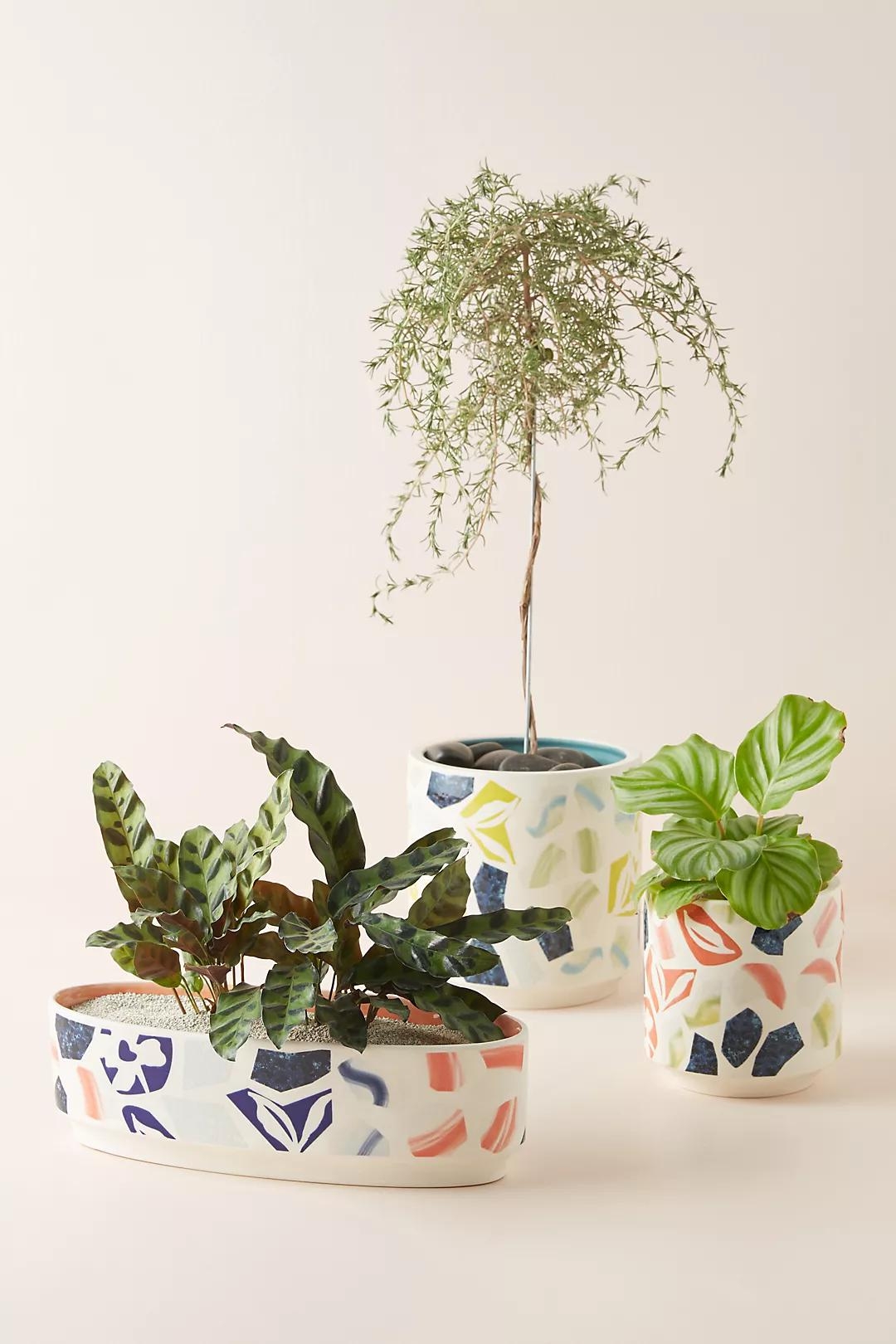 Andrea Planter, Assorted, Small - Image 2