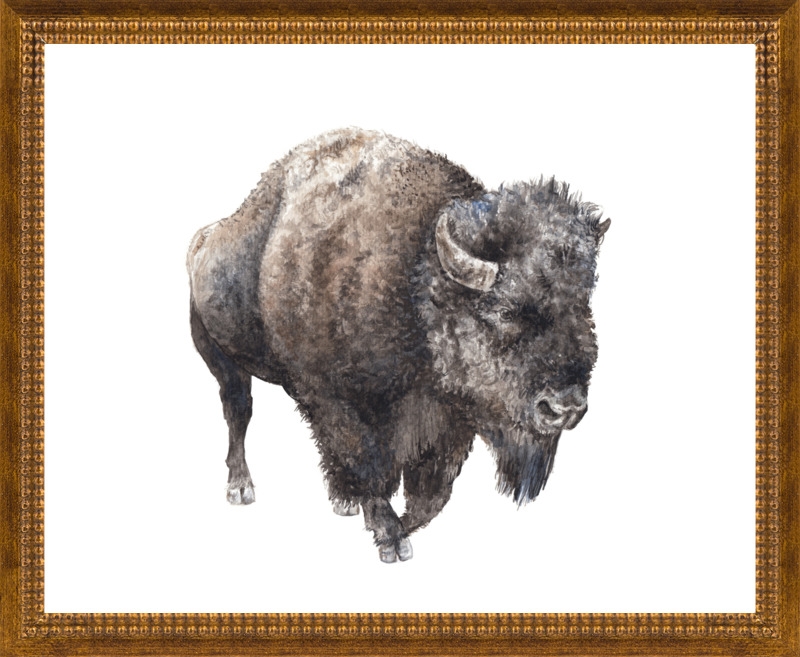 Roaming Watercolor Buffalo by Lauren Rogoff for Artfully Walls - Image 0