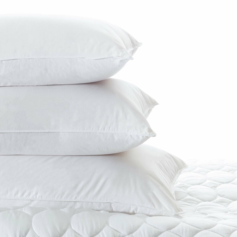 Pine Cone Hill Mantra Down Alternative Cotton Lumbar Pillow Insert - Image 0