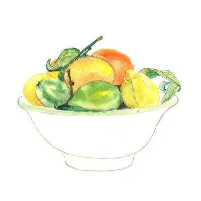Bowl Of Citrus - Wrapped Canvas Painting Print - Image 0
