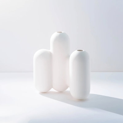 Siobhan Minimalist Modern White Vase