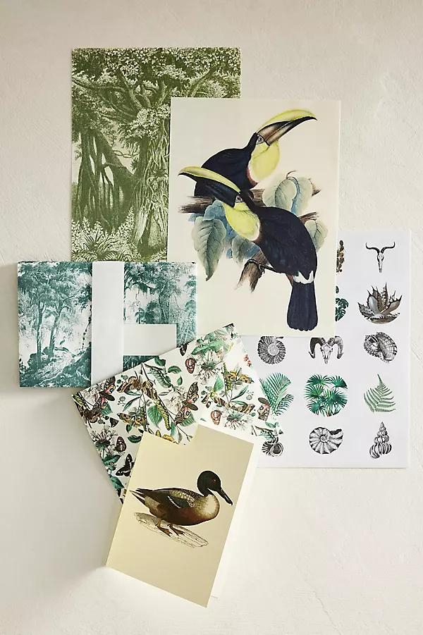 Natural History Stationery Set - Image 0