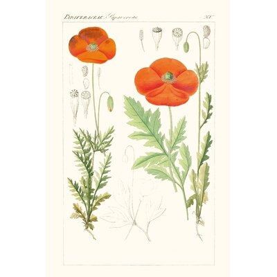 Bright Botanicals VI Print On Canvas - Image 0
