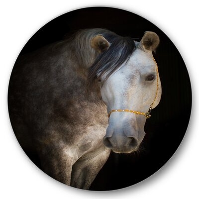 Portrait Of A White Horse - Farmhouse Metal Circle Wall Art - Image 0
