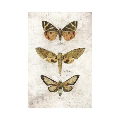 Butterflies VI by Mike Koubou - Wrapped Canvas Graphic Art Print - Image 0