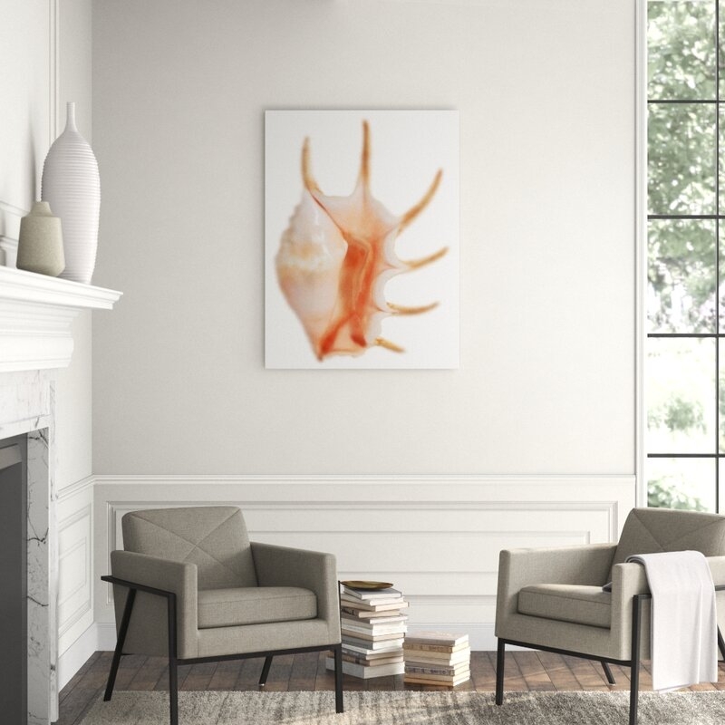 Chelsea Art Studio Sea Shell in White IV by Sofia Fox - Graphic Art - Image 0
