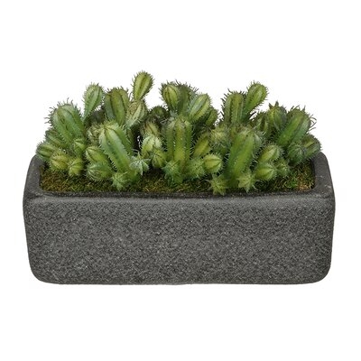 Artificial Thimble Cactus Plant in Decorative Vase - Image 0