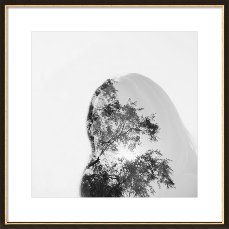 Made of Trees by Alicia Bock for Artfully Walls - Image 0