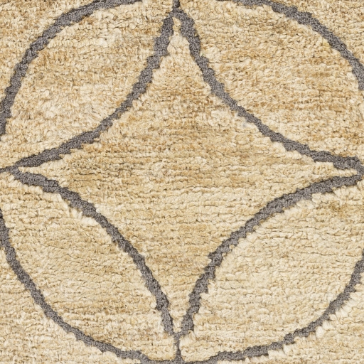 Papyrus Beige Indoor 3'3" x 5'3" Handmade Rug - Image 1