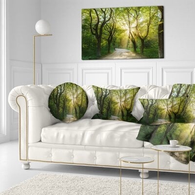 Evening in Green Forest - Wrapped Canvas Photographic Print - Image 0