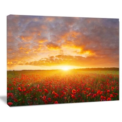 'Poppy Field Under Bright Sunset'Photograph - Image 0
