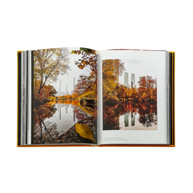 "Trope New York" Leather Home Decor Book - Image 4