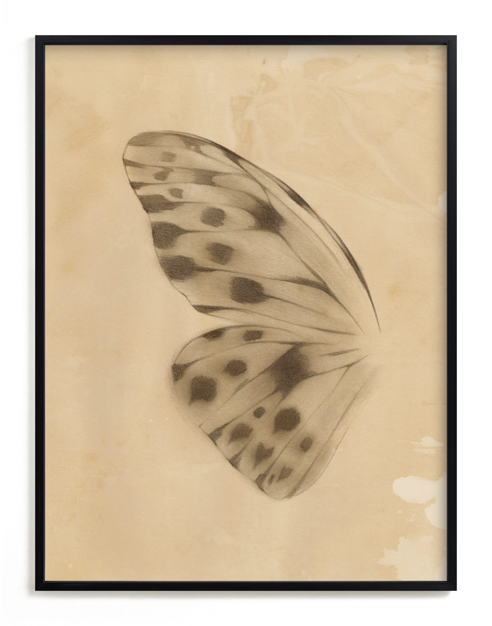 Vintage Mariposa I Limited Edition Fine Art Print 2 - Image 0