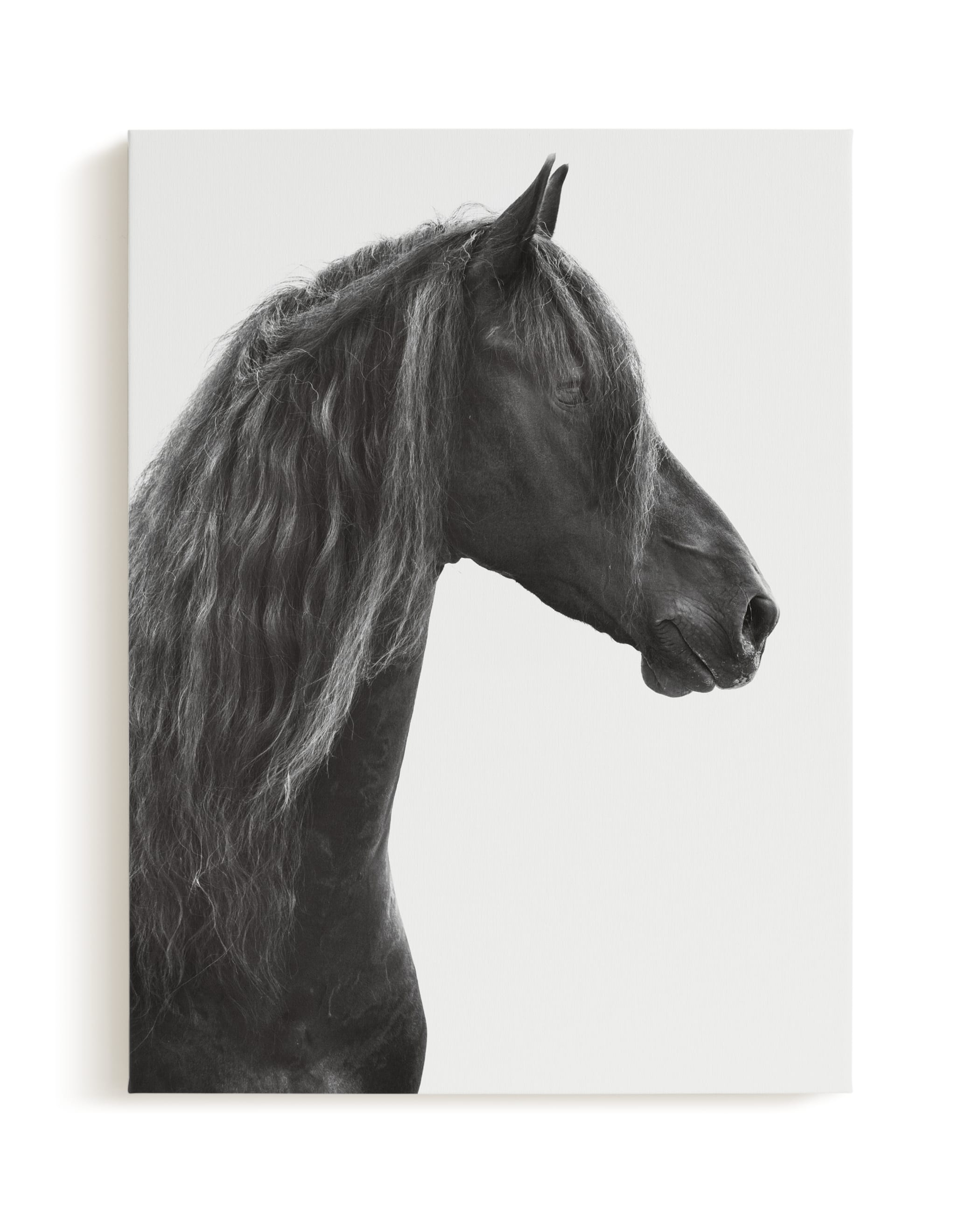 Dark Horse Limited Edition Fine Art Print 2 - Image 0