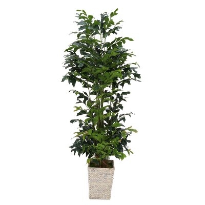 72" Artificial Palm Tree in Basket - Image 0