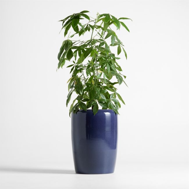 Belize Blue Reactive Glaze Indoor/Outdoor Planter 24"x17" - Image 0