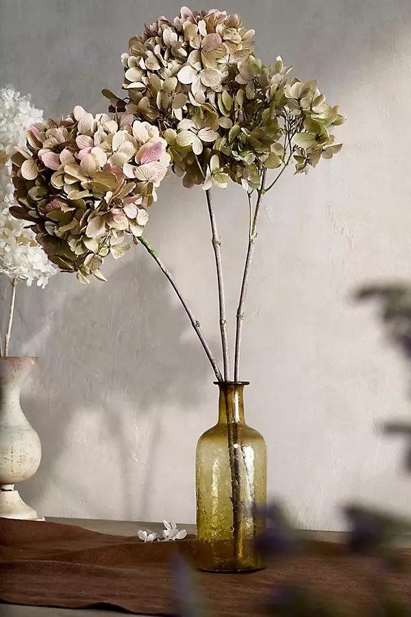 Preserved Hydrangea Grandiflora Bunch - Image 0