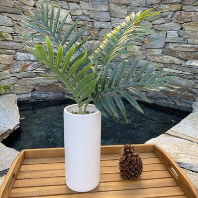 17.25'' Artificial Palm Plant in Vase - Image 0
