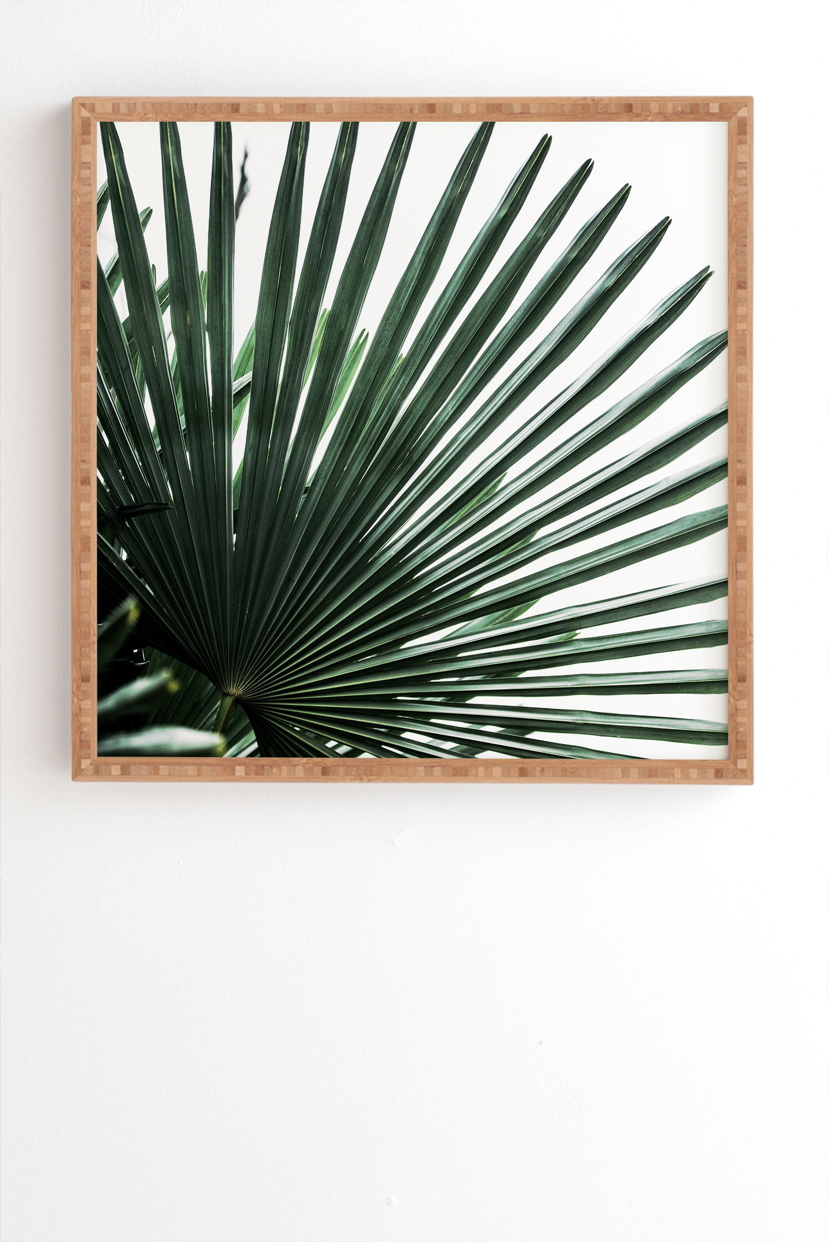 Palm Leaves 13 by Mareike Boehmer - Framed Wall Art Bamboo 14" x 16.5" - Image 1
