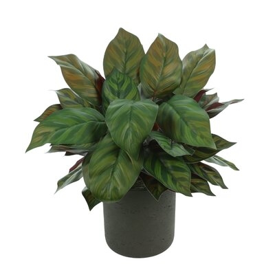 14'' Artificial Evergreen Plant in Pot - Image 0