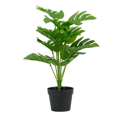 Green Leaves With Pot - Green - Black Pot - Image 0