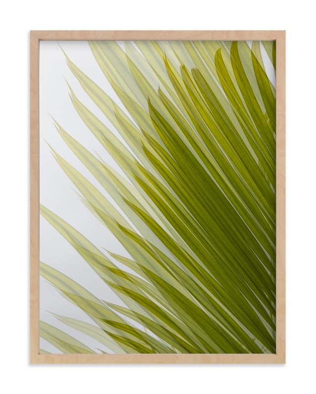 Palm Leaves 2 Limited Edition Fine Art Print 1 - Image 0