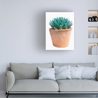 Cora Niele 'Succulent House Plant I' Canvas Art - Image 0